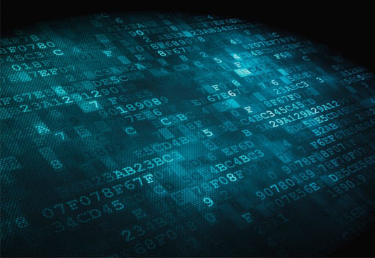 Creating a New IPv6 Extension Header - Hogg Networking